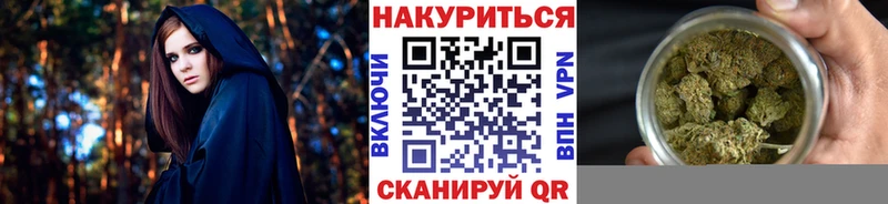 Канабис планчик  блэк спрут как войти  Сибай  цена наркотик 